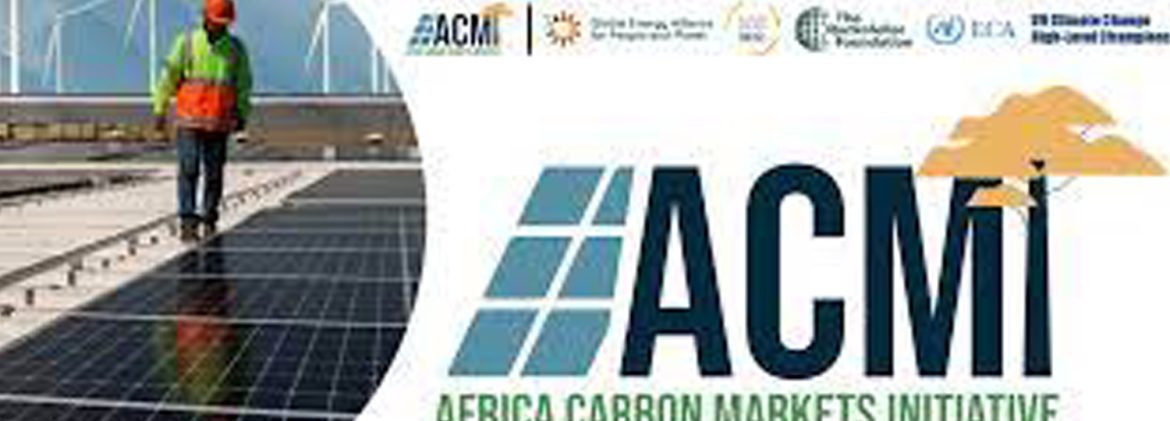 Africa Carbon Markets_Project Developers roundtable discussion and networking event.