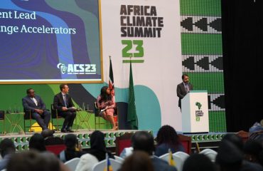 UAE Carbon Alliance pledges to purchase US$450 million in African Carbon Credits by 2030